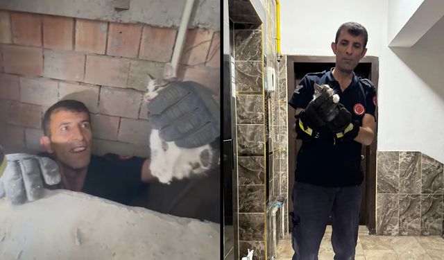 Bina boşluğuna düşen yavru kedi itfaiye ekiplerince kurtarıldı