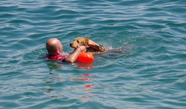 Sivil sualtı kurtarma köpeği Zeyna, görev için gün sayıyor