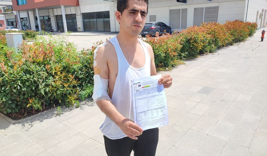 Adana'da kurt köpeği kabusu: Kırık kolla mücadele etti