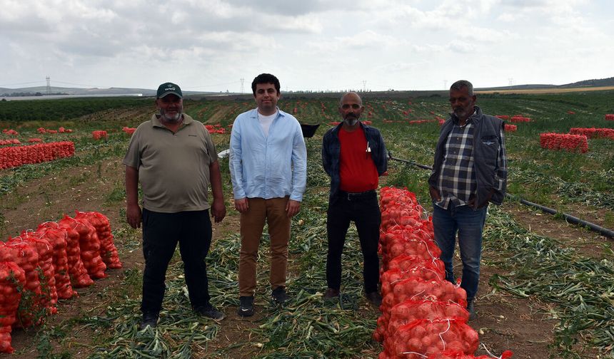 Yapay zeka ile narenciyeye yeni nesil dokunuş