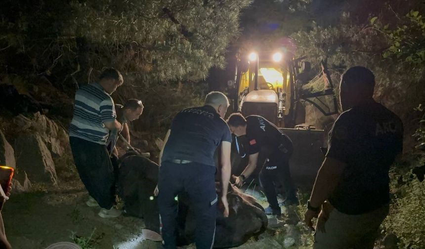 Adana’da 2 gündür kayıp olan inek kuyuda bulundu