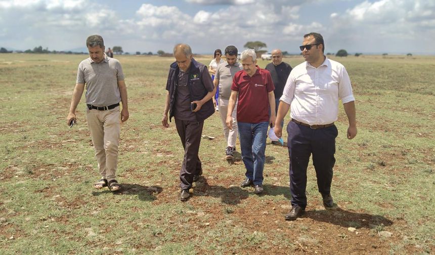 Adana’da üç meraya ıslah hamlesi: Hayvancılığa destek güçleniyor