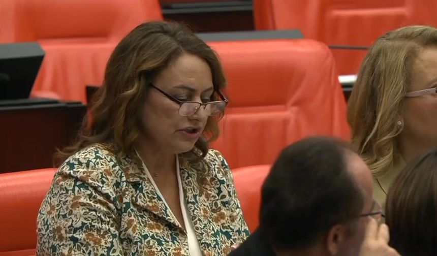 CHP'li Şevkin'den staj ve çıraklık mağduriyetine tepki: "Bu yanlıştan bir an önce dönün"