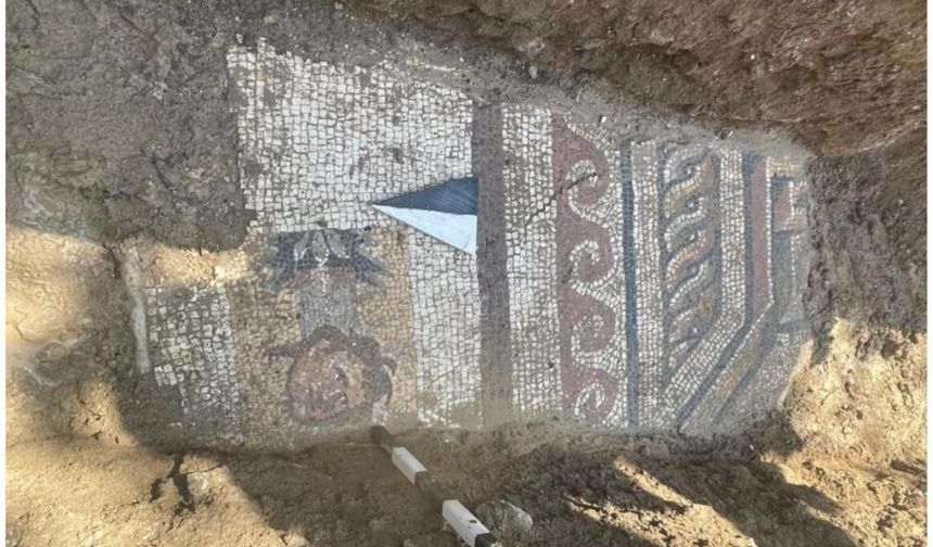 Tarihi mozaik Kahramanmaraş’ta gün yüzüne çıkarıldı