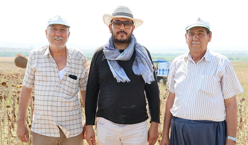 Adana’da kuraklık ayçiçeği tarlalarını kuruttu: Verim yarının altına düştü