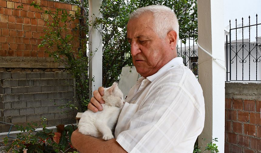 Adana’da Emekli Adam 8 Kediye Baba Şefkatiyle Bakıyor