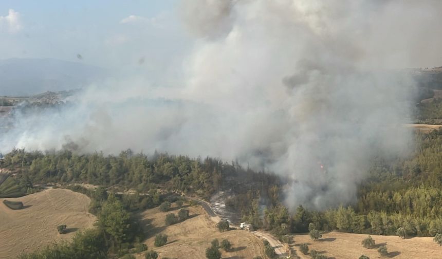 Adana’daki orman yangını 8 saatte kontrol altına alındı