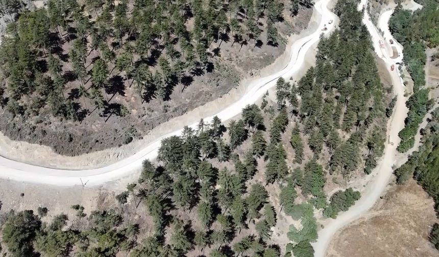 Feke’de 75 yıl sonra genişleyen yollar, ormanın saklı güzelliğini ortaya çıkardı