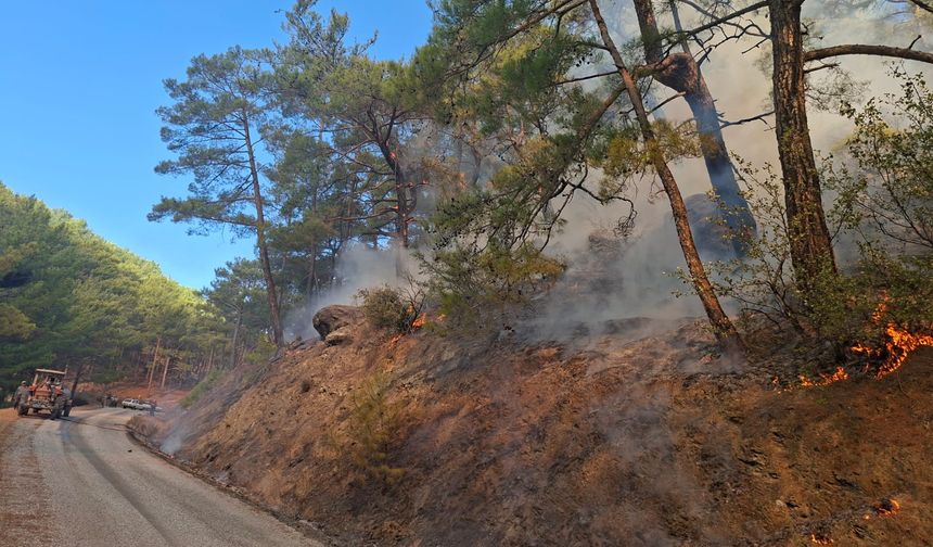 Mersin’de orman yangını: Ekipler seferber oldu