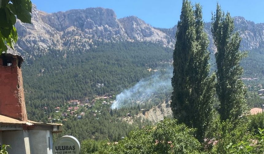 Pozantı’da orman yangını korkuttu: Ekipler hızla kontrol altına aldı