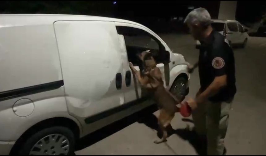 Araçlarında 5 kilo esrar yakalattılar: “Haberimiz yok” savunması yaptılar