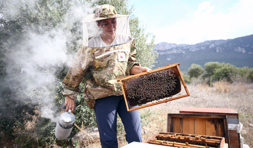 Arıcılığa 12 kovanla başladı, 200 kovana ulaştı