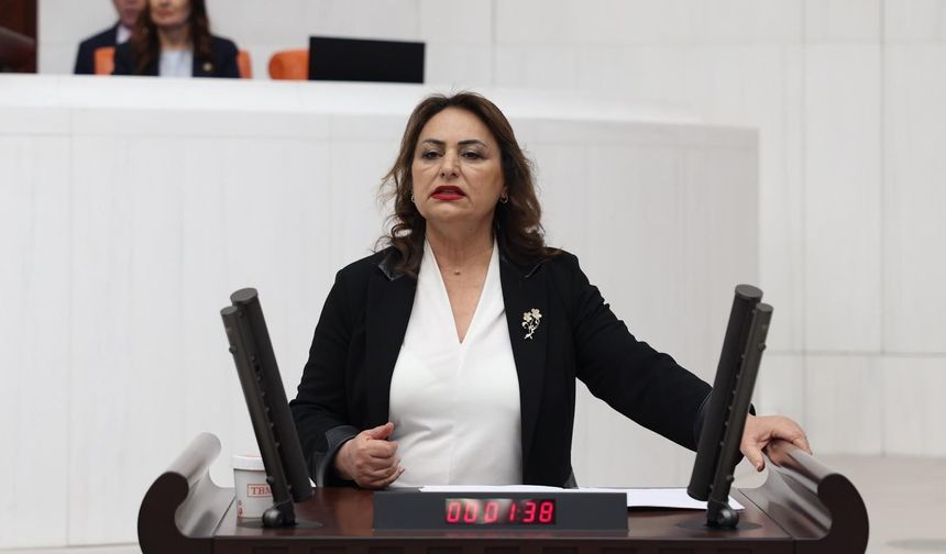 Şevkin: “Usta öğreticilerin sesini duyun!”