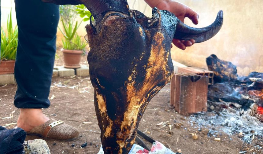 Gastronomi Kentinde Bayram: Sakatat Kültürü Kelle Ütme Geleneğiyle Sürüyor