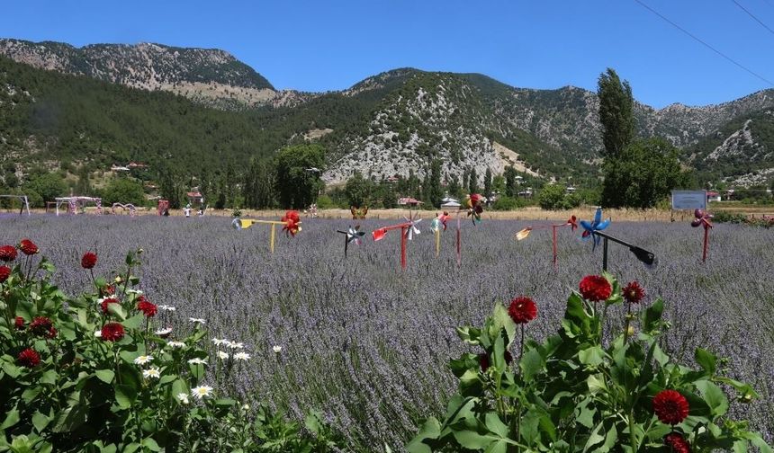 Adana'da sıcaktan bunalanların yeni adresi Feke lavanta bahçeleri oldu