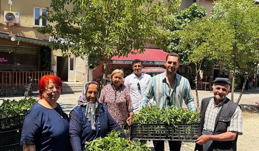 Aladağ, Feke ve Tufanbeyli’de 120 bin biber fidesi toprakla buluşuyor!