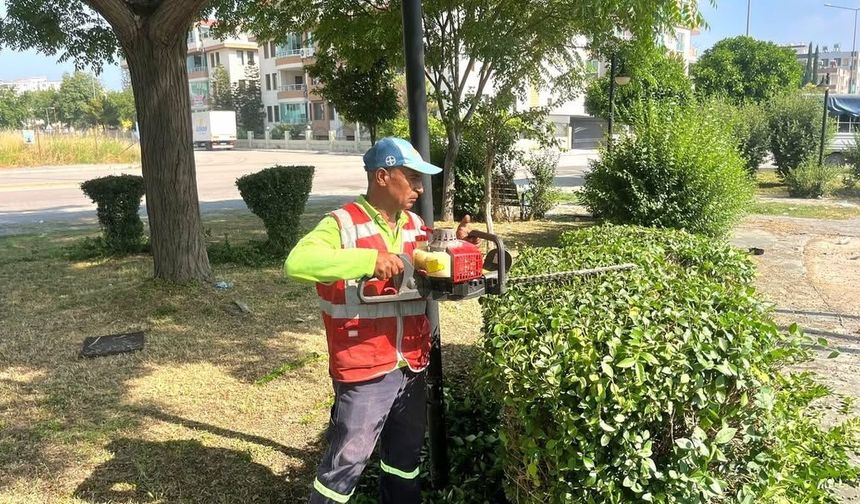 Ceyhan’da ekipler dört bir koldan sahada