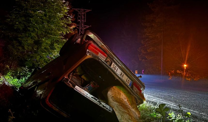 Feke'de korkutan kaza! Şarampole devrilen otomobildeki 2 kişi yaralandı