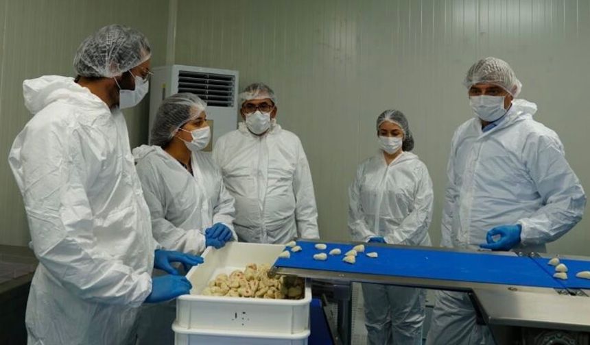 Adana’nın tarımsal gücü Ramson Group’ta incelendi