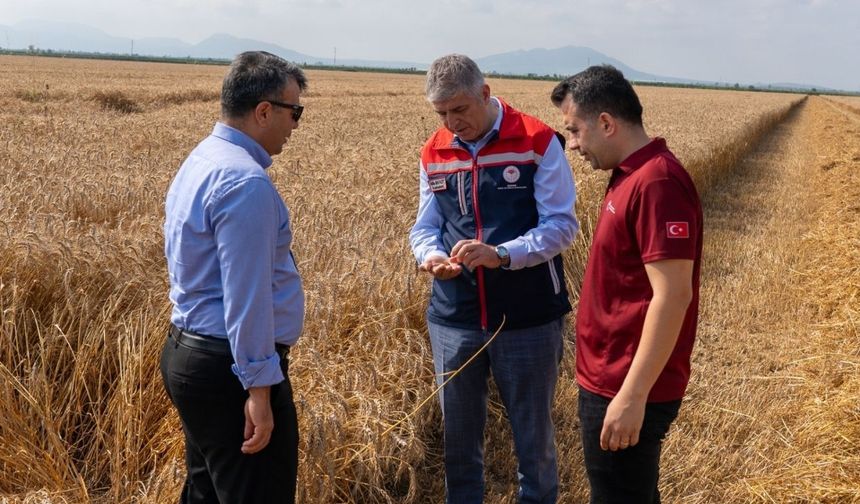 İl Müdürü Bayazıt hasat alanında çiftçilerle buluştu
