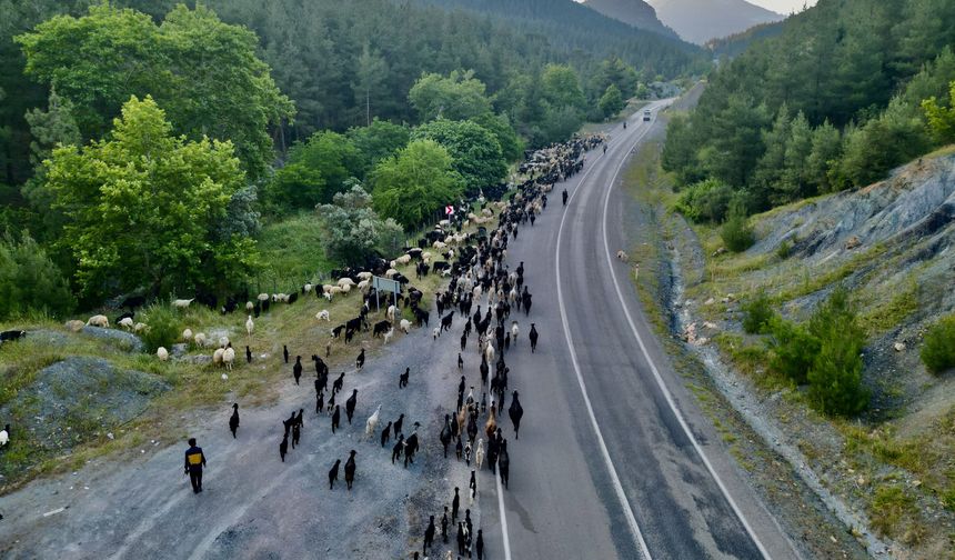 Kozanlı göçerlerin yayla yolculuğu sürüyor