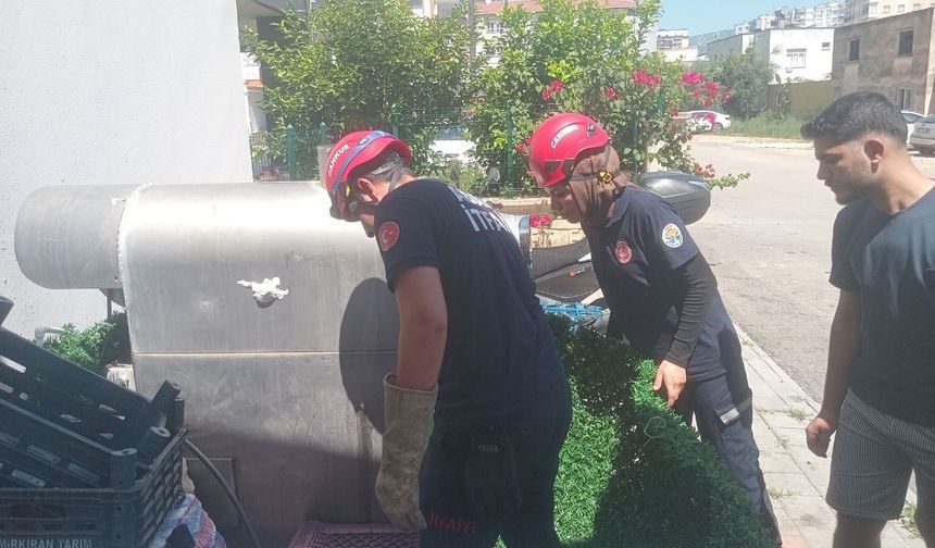 Kozan'da yavru kedi itfaiyeyi seferber etti