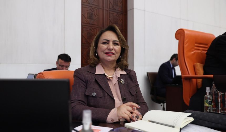 Milletvekili Müzeyyen Şevkin'den iktidara Adana eleştirisi