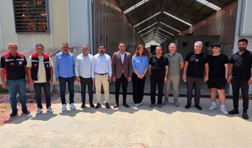 Abdullah Doğru, Sarıçam'da işletme ve çiftçileri ziyaret etti