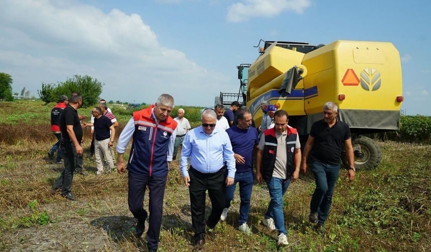Adana'da çörekotu ekim alanı 200 dekara ulaştı