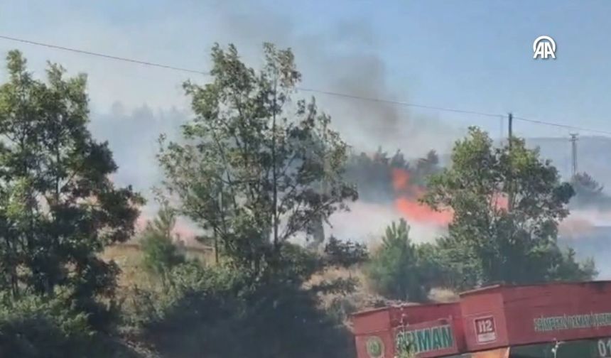 Adana'da saman balyaları yandı, alevler ormana sıçradı