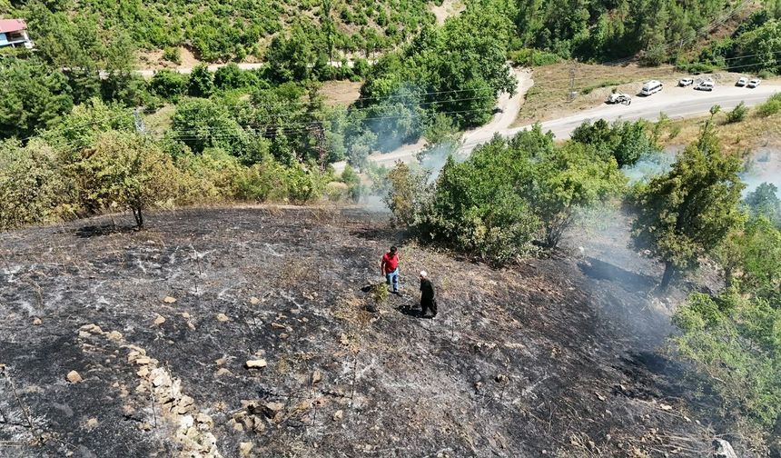 Adana'daki orman yangını kontrol altına alındı