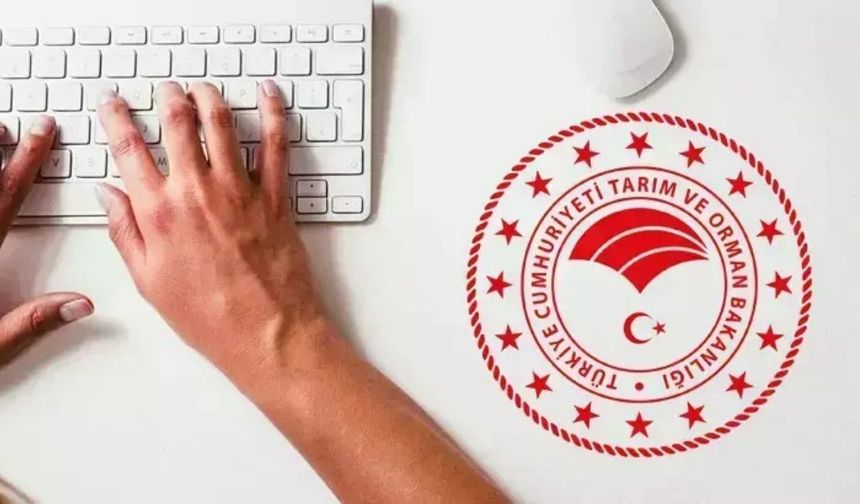 Bakanlıktan iş arayanlara müjde: KPSS'siz personel alımı başladı