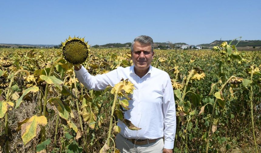 CHP’li Barut: "Çiftçi kazanırsa, tüketici gıdaya daha ucuza ulaşır"