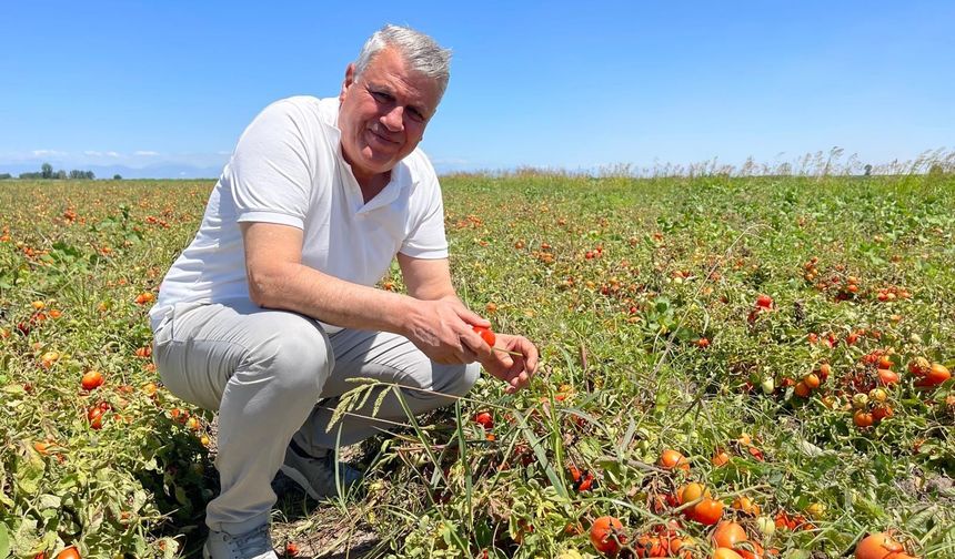 CHP’li Barut: "Hem üreticiyi hem tüketiciyi çıkmaza sürükledi"