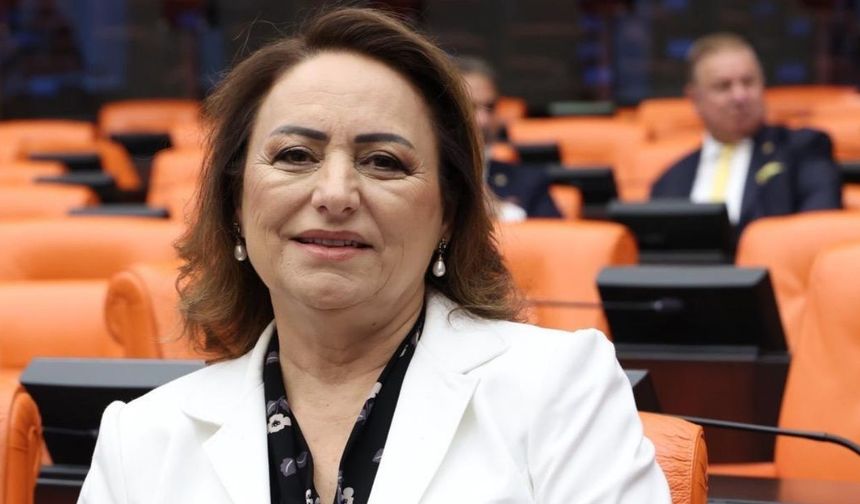 CHP'li Şevkin TBMM'de seslendi: "Gıda güvenliği için mühendis istihdamı şart"