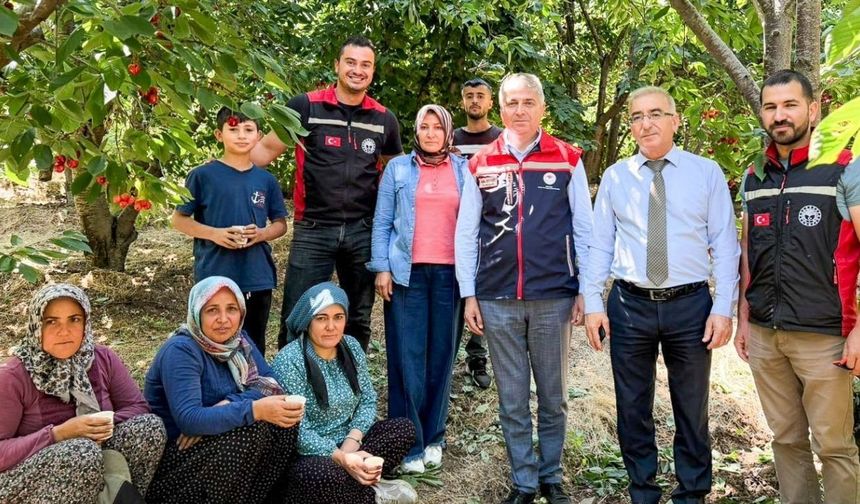 İl Tarım Müdürü Bayazıt'tan kiraz üreticilerine ziyaret