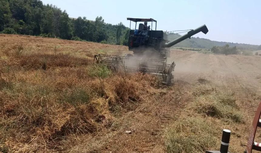 Kozan'da hasat sezonunda denetimler ve uyarılar aralıksız sürüyor