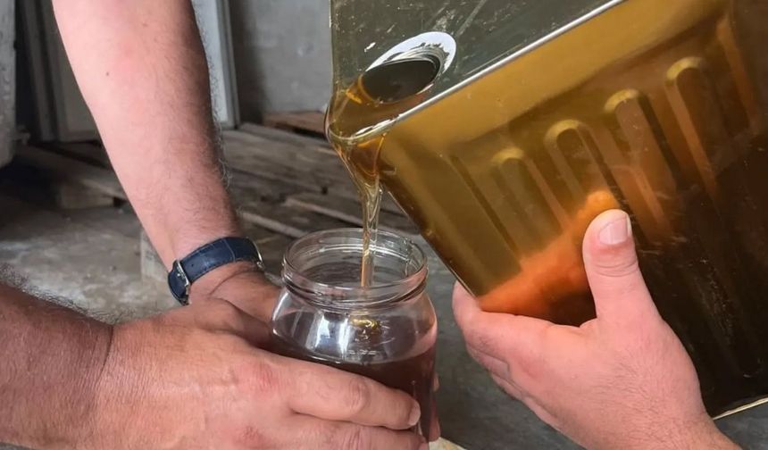 Kozan'ın tescilli lezzeti Mezla Balı analizden geçiyor