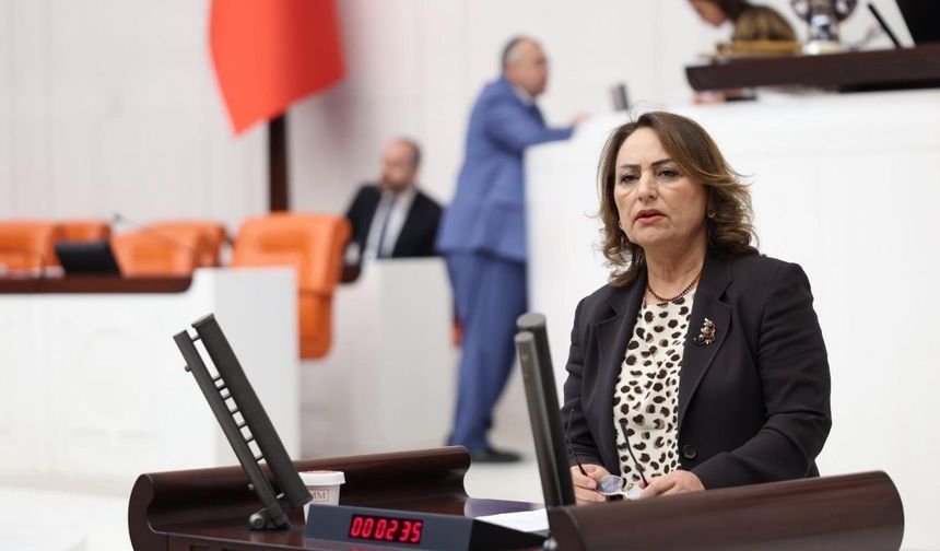 Müzeyyen Şevkin'den Yargıtay'ın 'çırak ve staj' kararı sonrası TBMM'ye çağrı