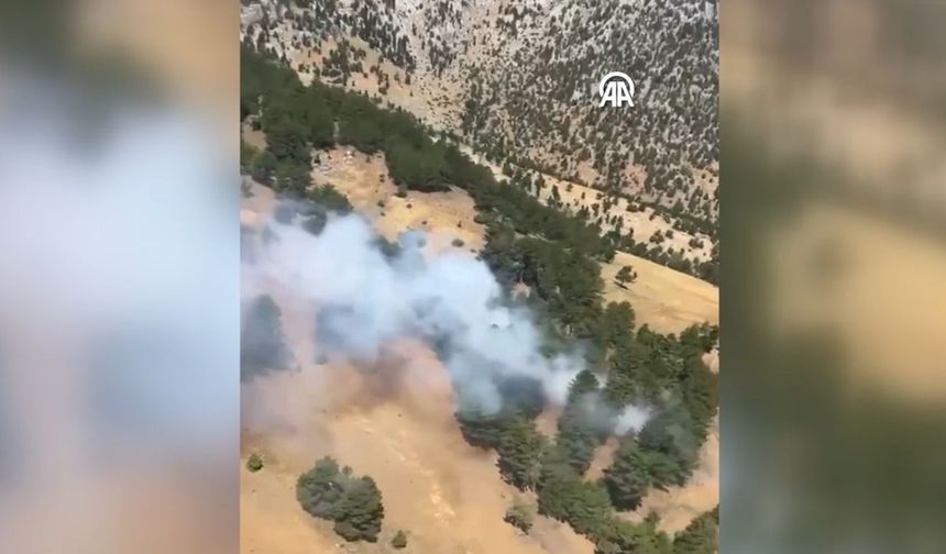 Saimbeyli'de orman yangını! Alevler kontrol altına alındı