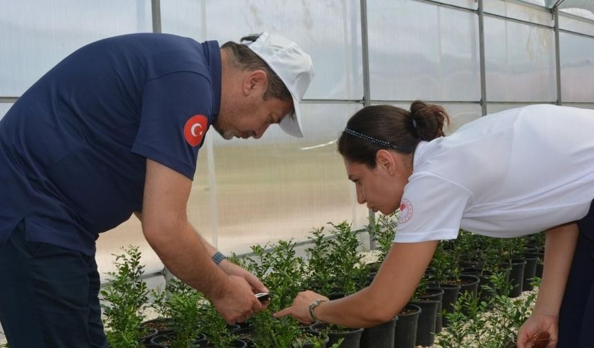TAGEM Genel Müdürü Atalay, Adana'daki Faydalı Böcek Üretim Merkezi'ni ziyaret etti