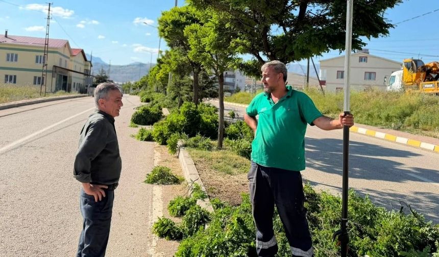Tufanbeyli'de ağaç budama çalışmaları tamamlandı