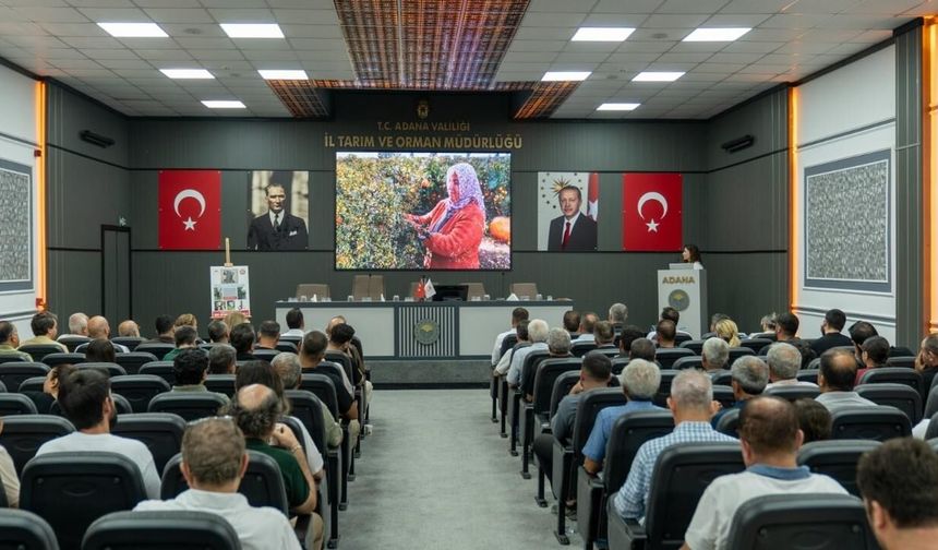 Adana’da turunçgillerde doğru hasat masaya yatırıldı