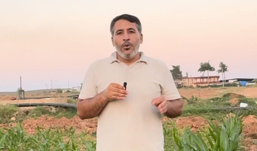 Adanalı çiftçilerin isyanı! Sulamadıkları tarlaya su faturası geldi
