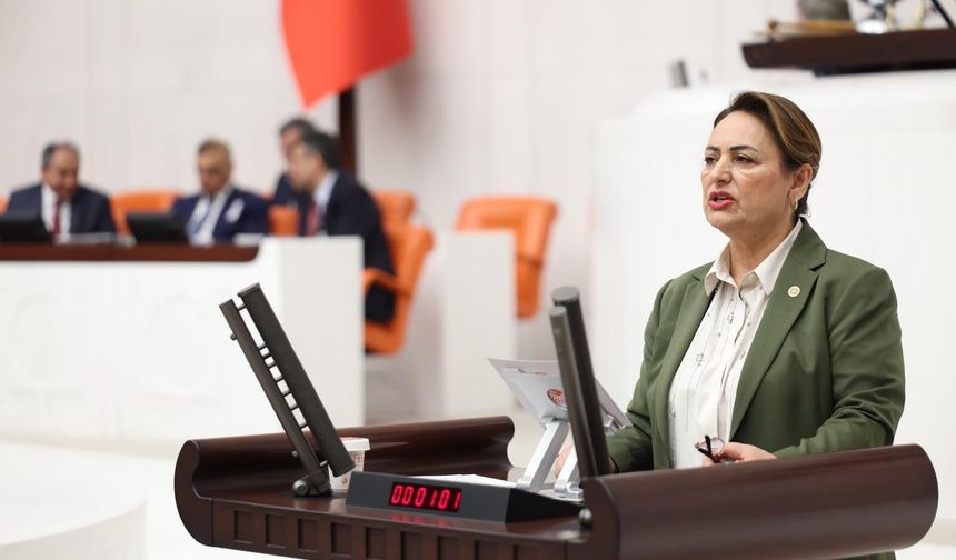 Şevkin'den Bakan Yusuf Tekin'e YÖK çağrısı!