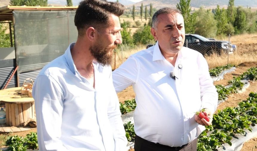 Güngör Geçer sahaya indi: Tarımsal destekler yerinde incelendi