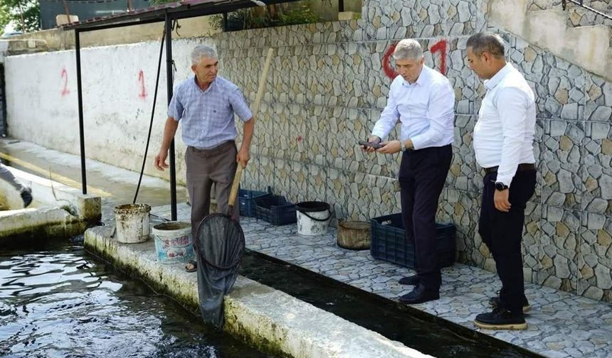 Kozan’da tarım ve hayvancılık için sahada yoğun çalışma