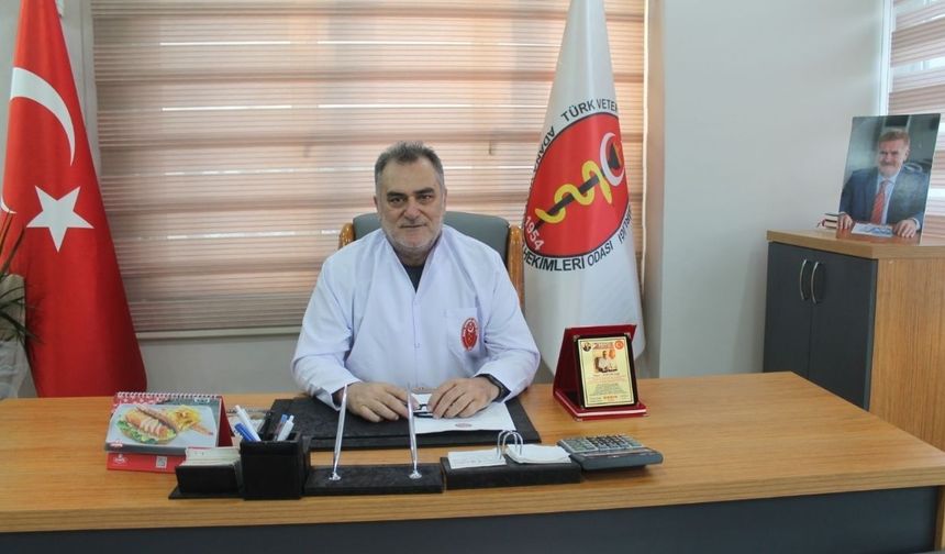 Üzeyir Can: Hayvan toplama ekipleri veteriner hekimsiz çalıştırılamaz