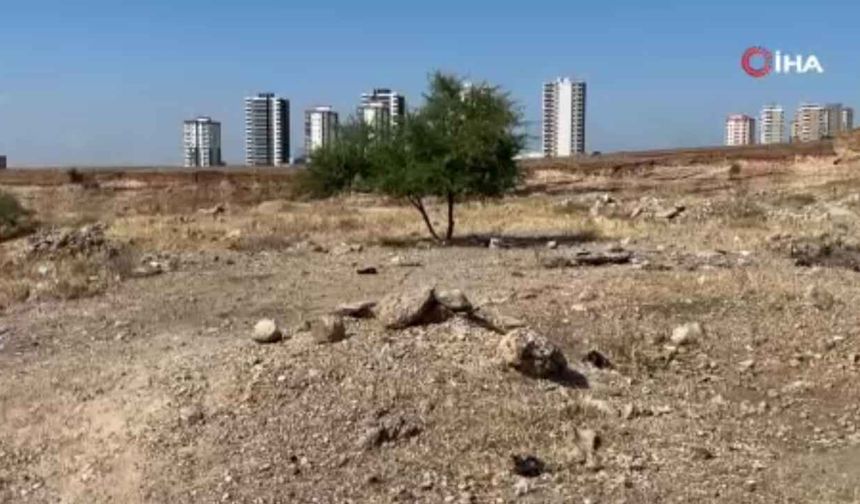Adana’da boş arazide 35 yaşındaki kişi ölü bulundu