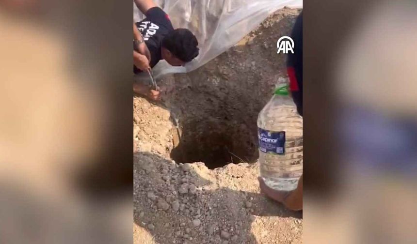 Adana’da kuyuya düşen köpek itfaiye ekiplerince kurtarıldı